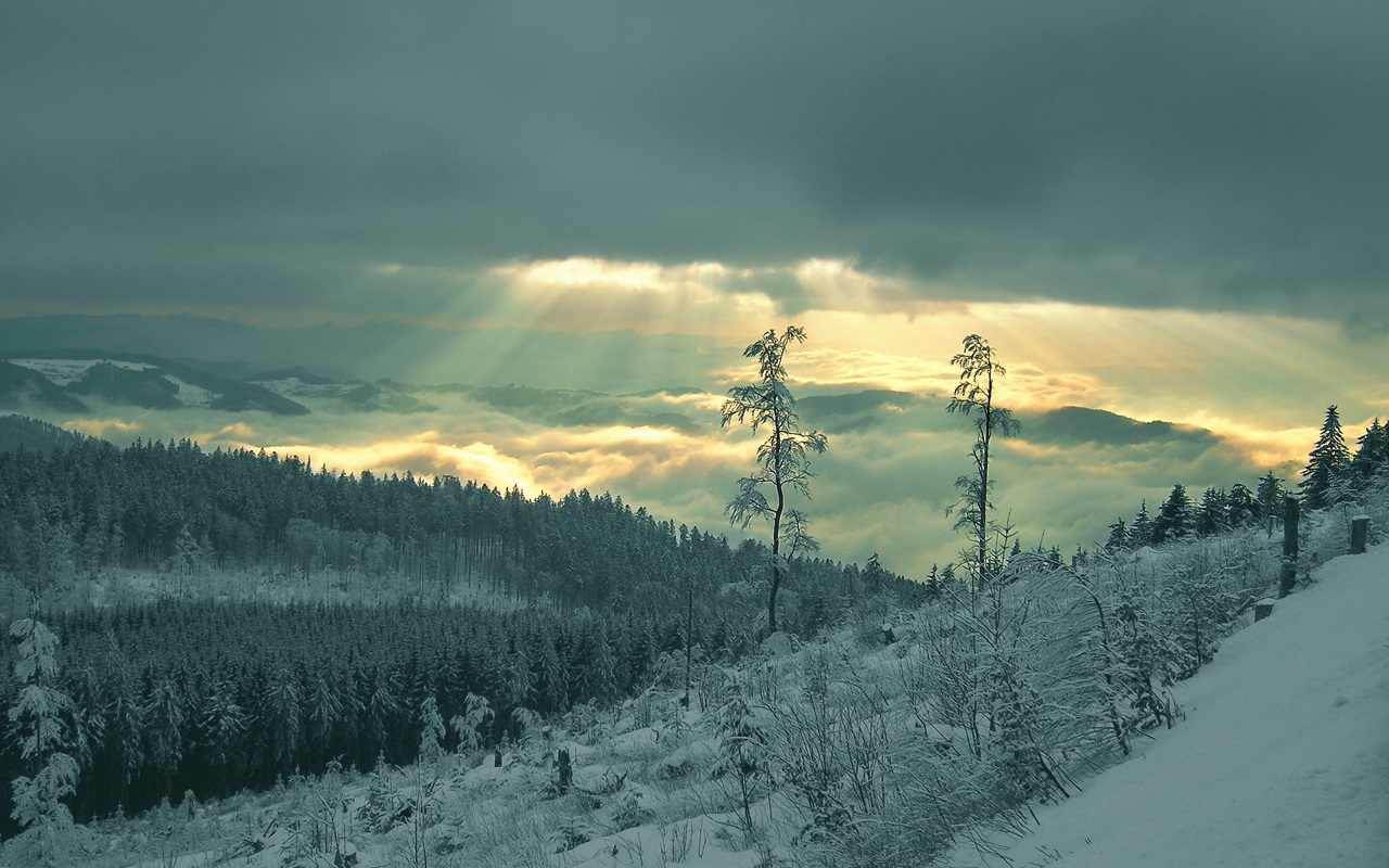 Slideshow Image 2