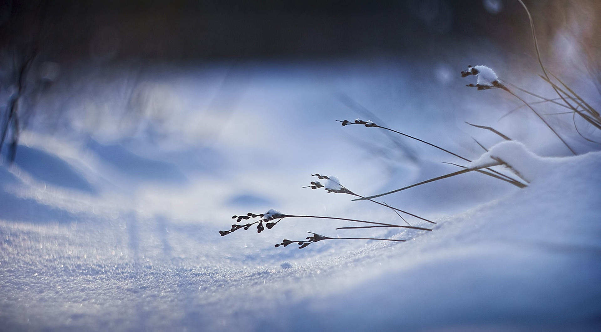 Slideshow Image 4